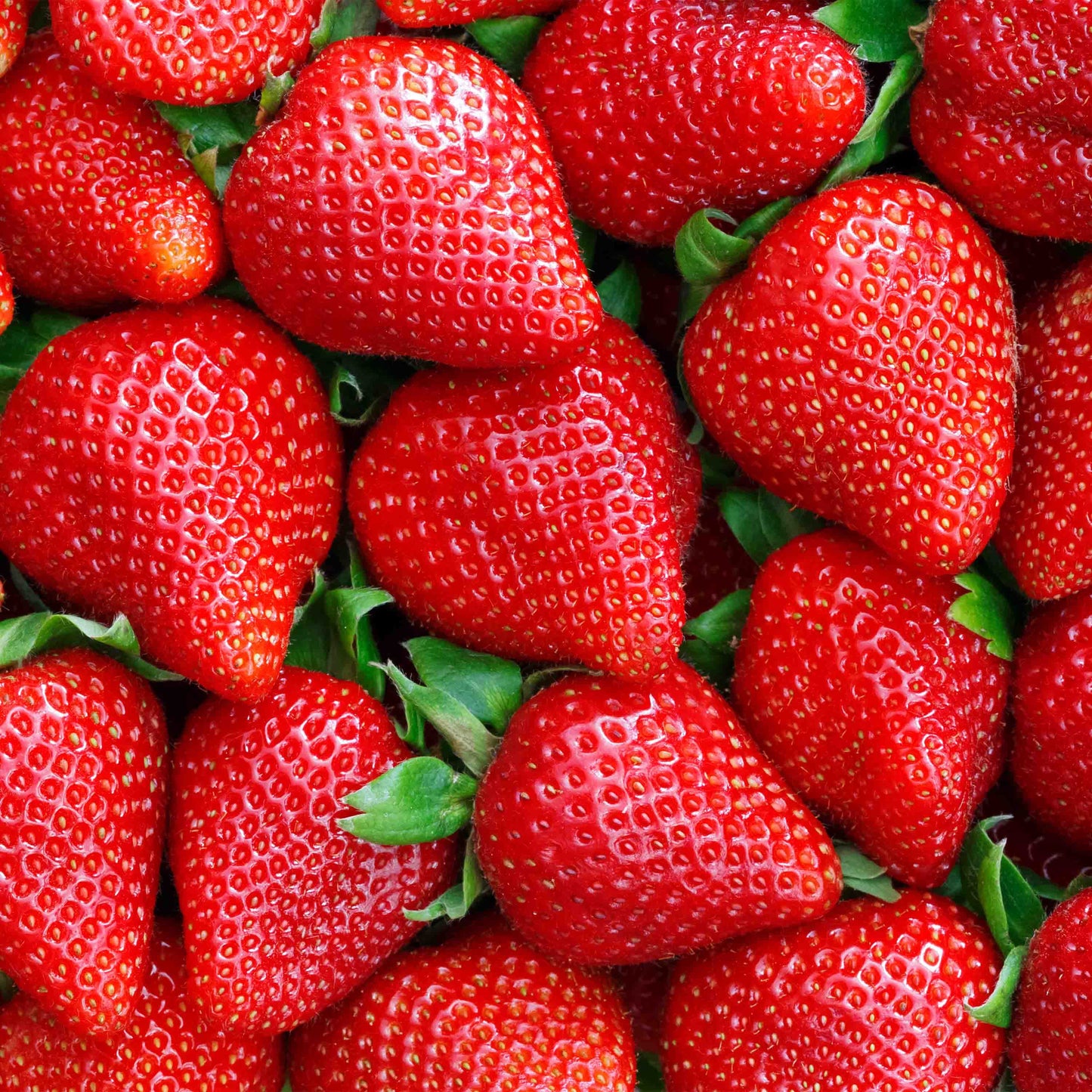 100% REAL WHEY ISOLATE STRAWBERRY